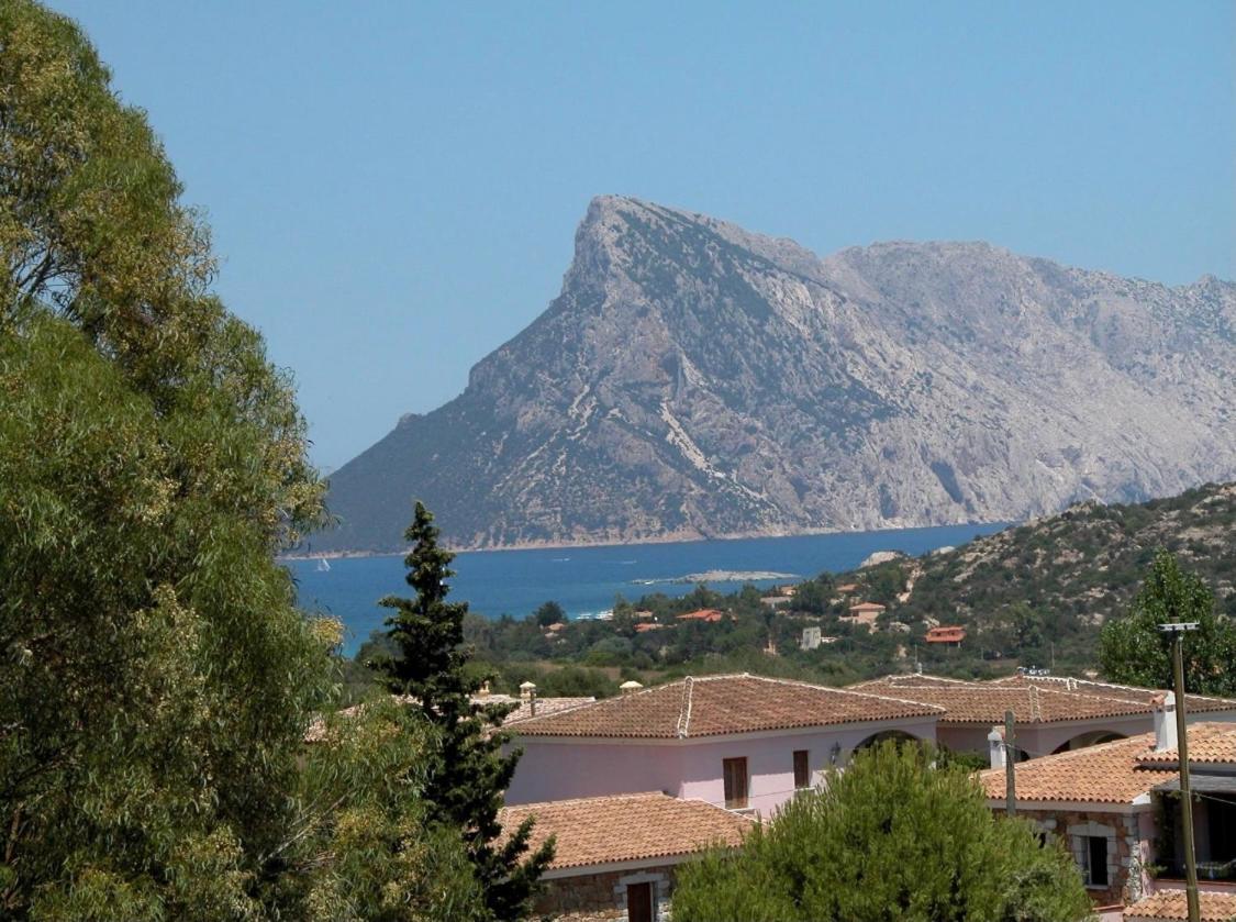 Residence Agrifoglio Monte Petrosu Luaran gambar
