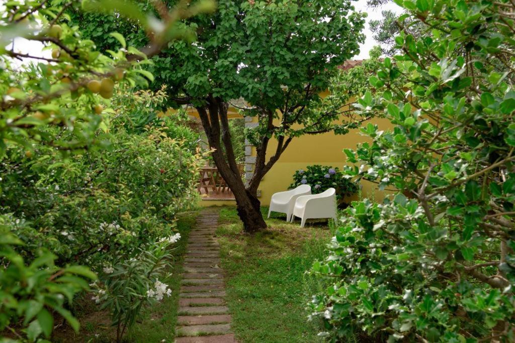 Residence Agrifoglio Monte Petrosu Luaran gambar